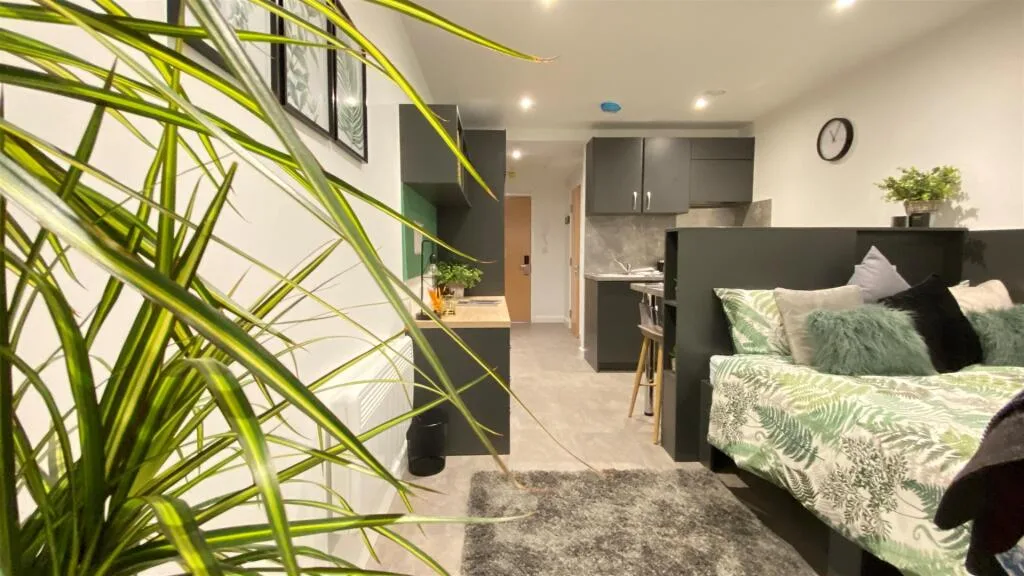 Studio flat for rent