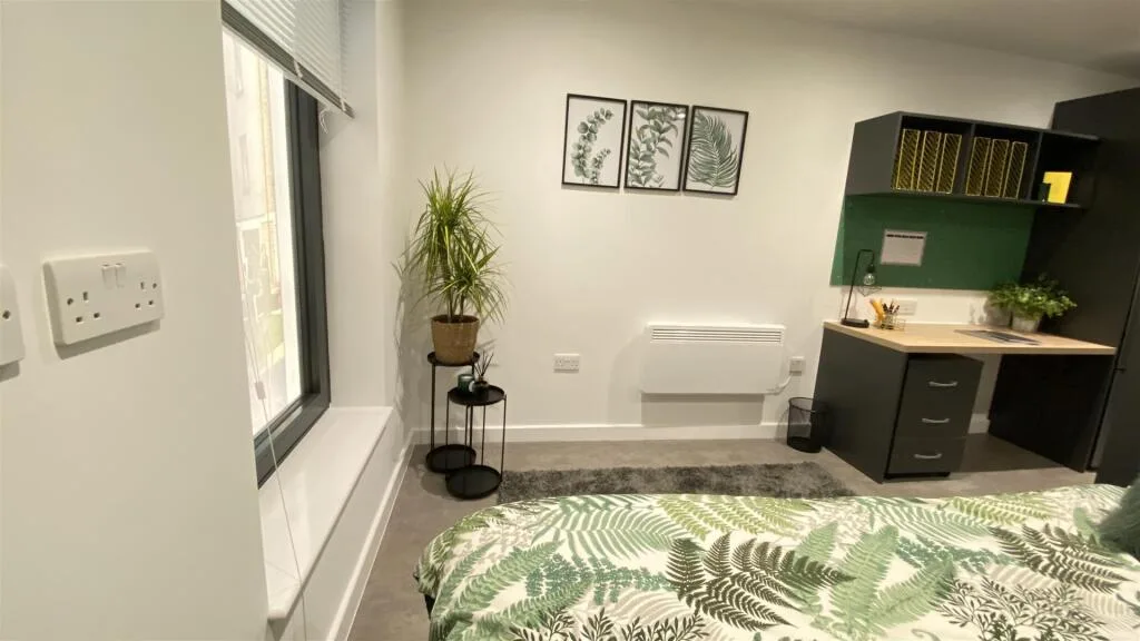 Studio flat for rent