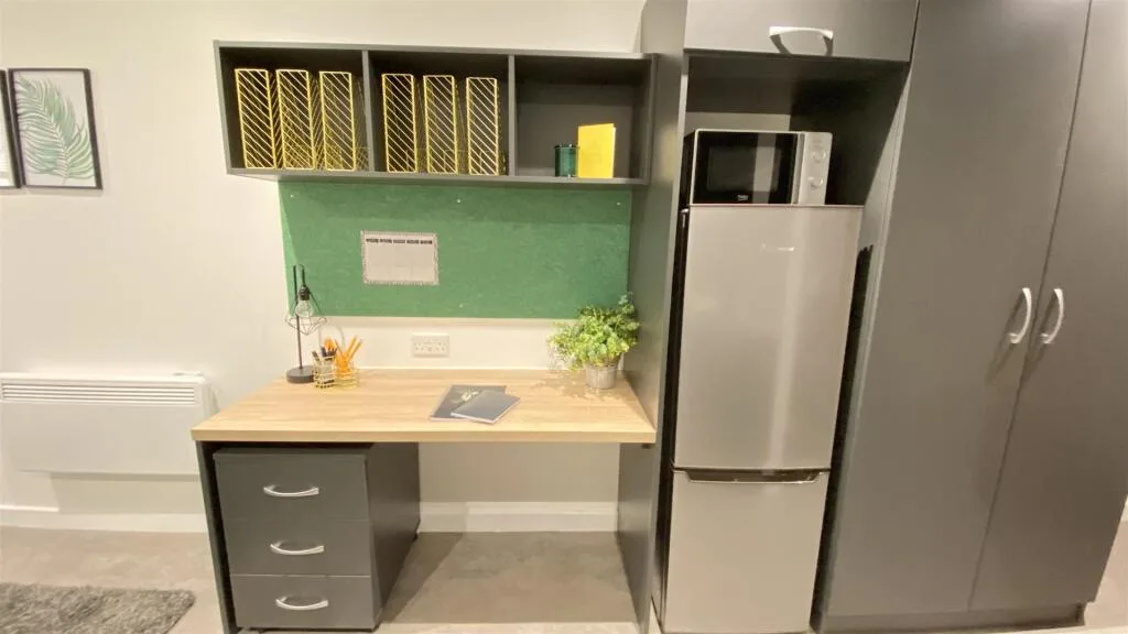 Studio flat for rent