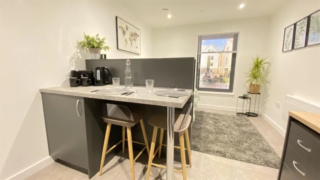 Studio flat for rent