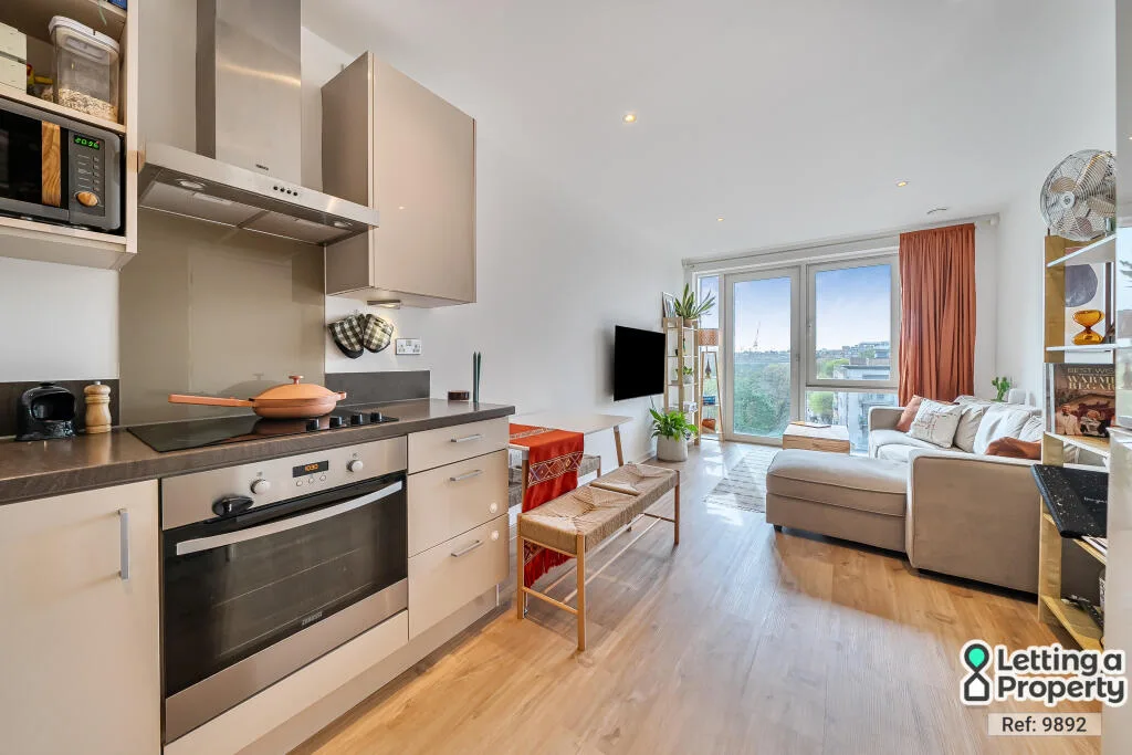 1 bedroom apartment for rent
