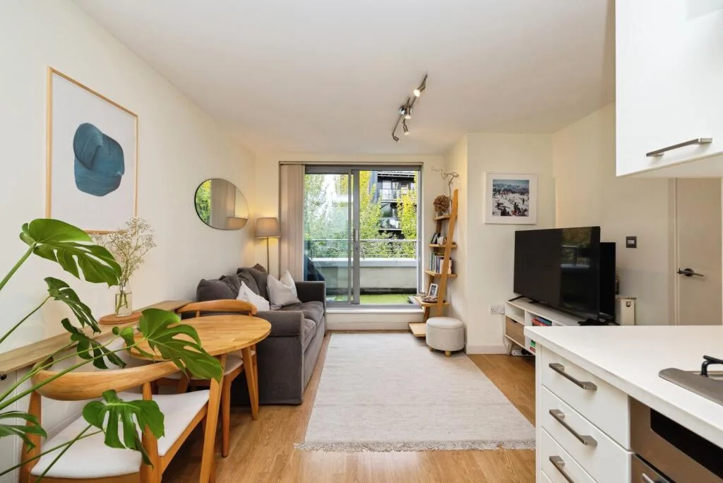 1 bedroom apartment for rent