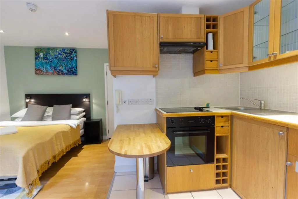 Studio flat for rent