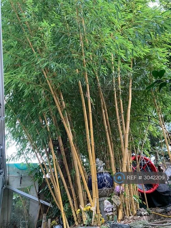 1 bedroom end of terrace house for rent