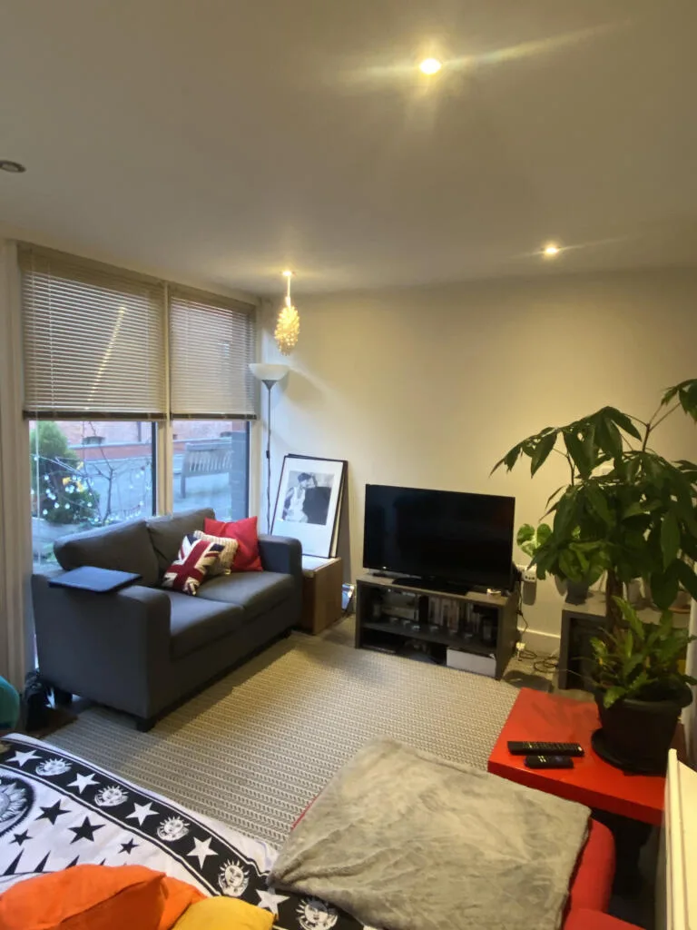 1 bedroom apartment for rent