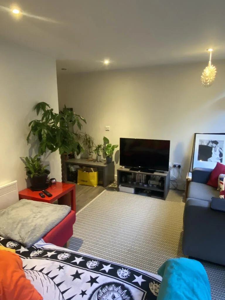 1 bedroom apartment for rent