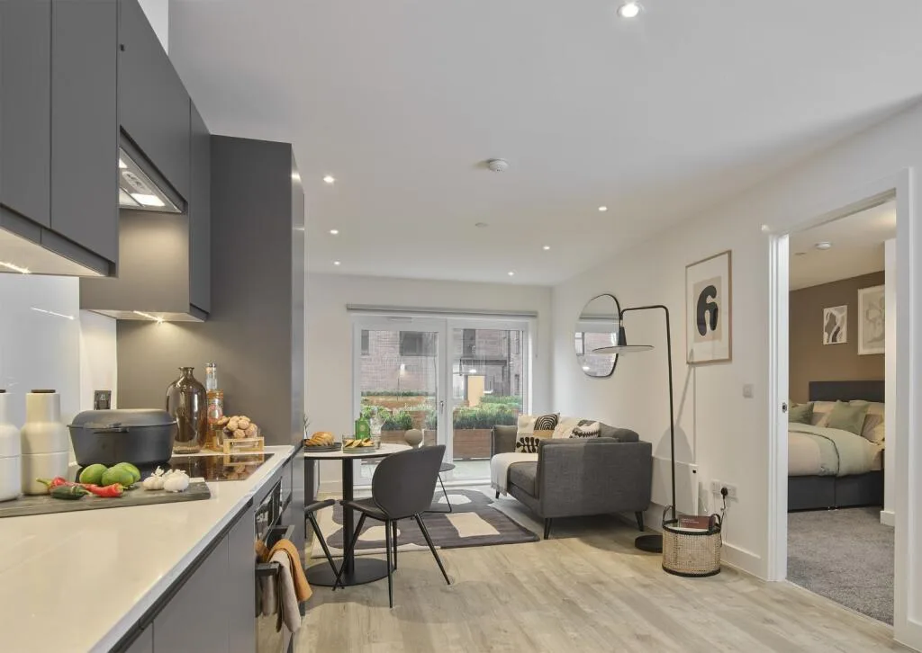 1 bedroom apartment for rent