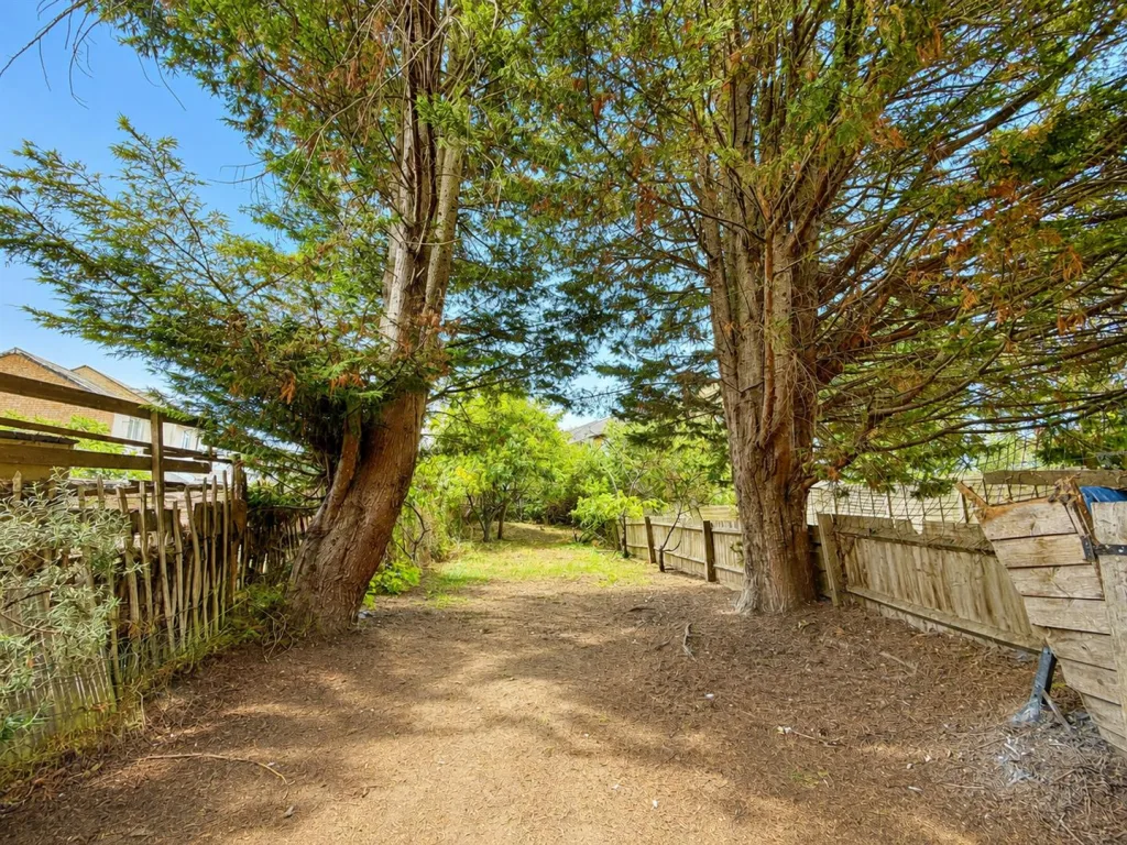 3 bedroom house for rent