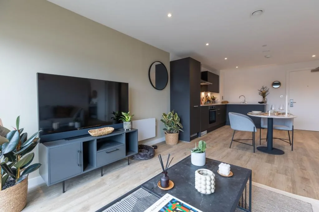 1 bedroom apartment for rent