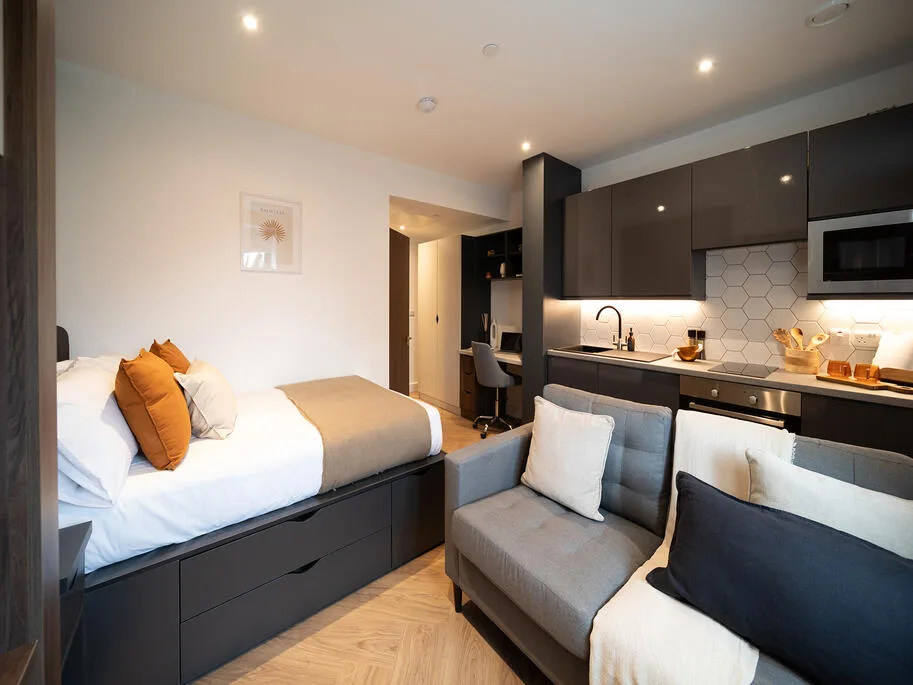 1 bedroom apartment for rent