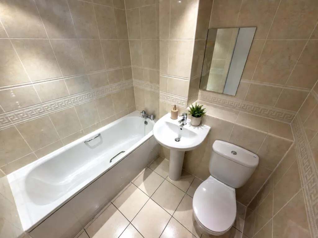 1 bedroom apartment for rent
