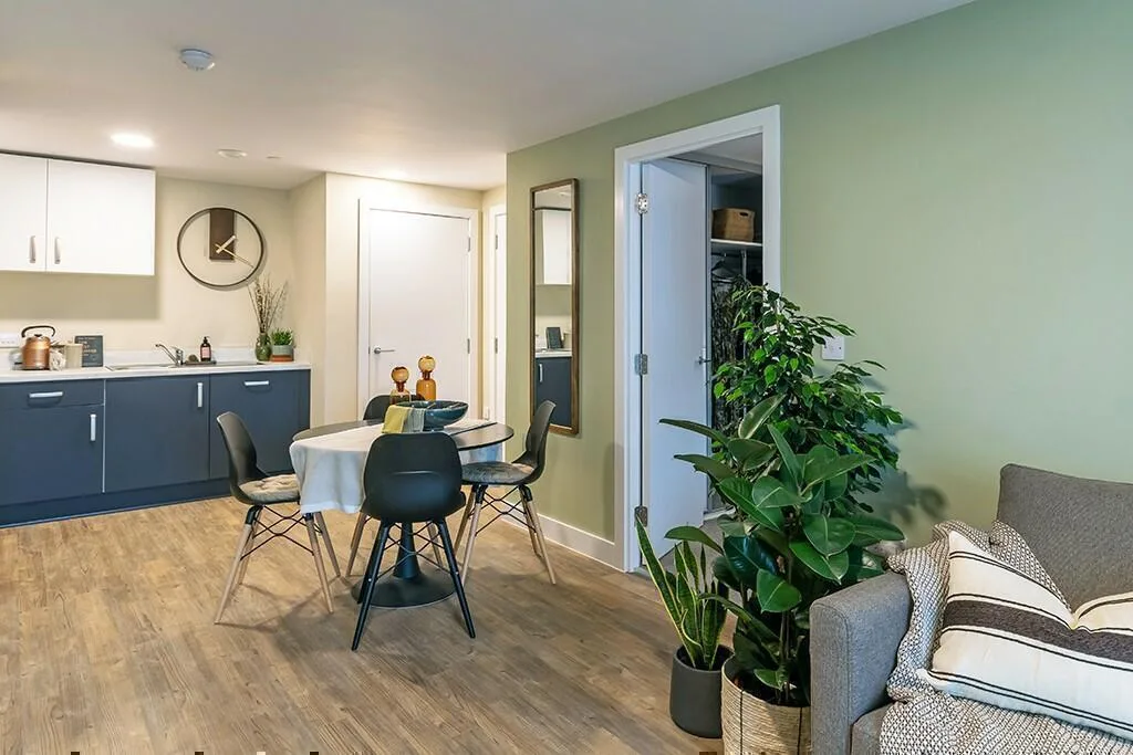 1 bedroom apartment for rent