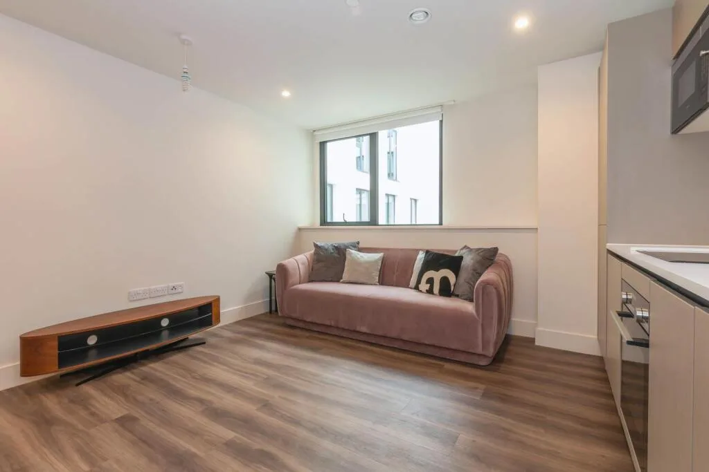1 bedroom apartment for rent