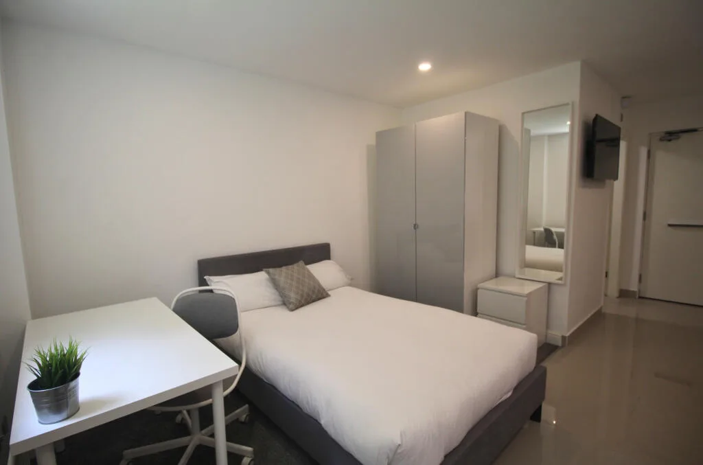 1 bedroom flat for rent