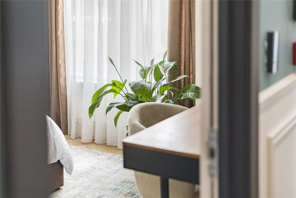 1 bedroom property for rent