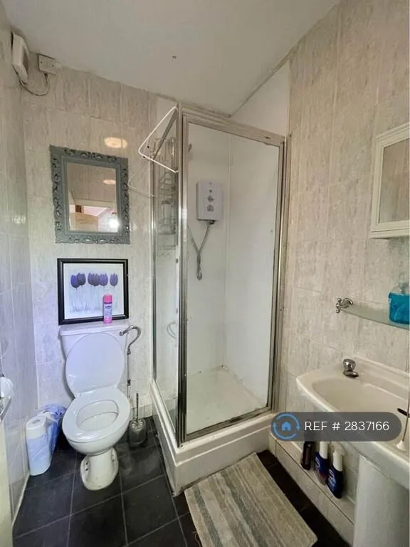 6 bedroom flat for rent