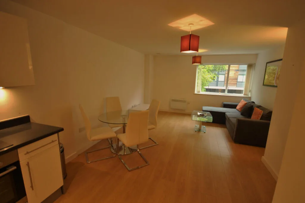1 bedroom apartment for rent