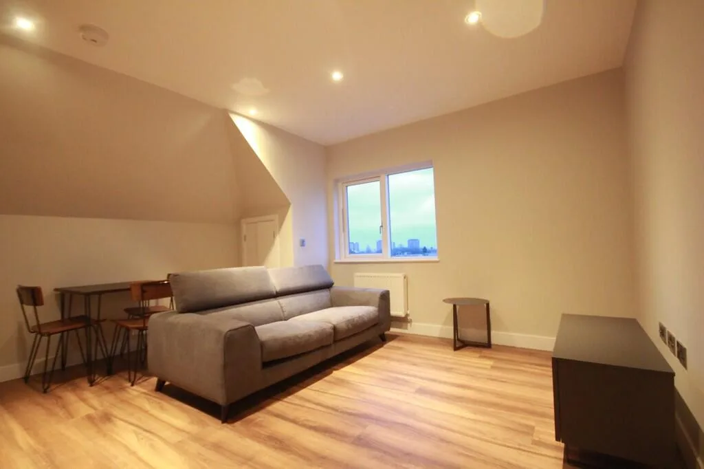 1 bedroom penthouse for rent