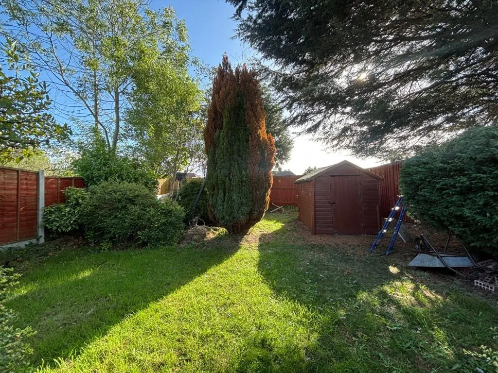 3 bedroom house for rent