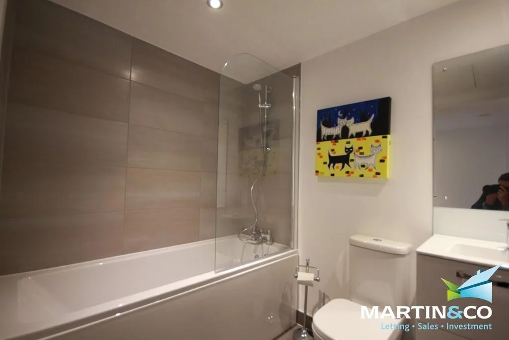 Studio flat for rent