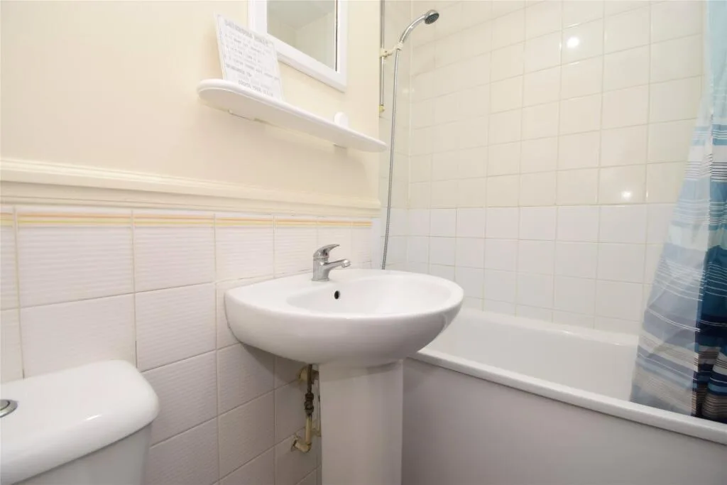 Studio apartment for rent