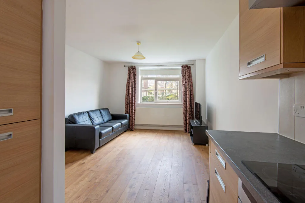 1 bedroom apartment for rent