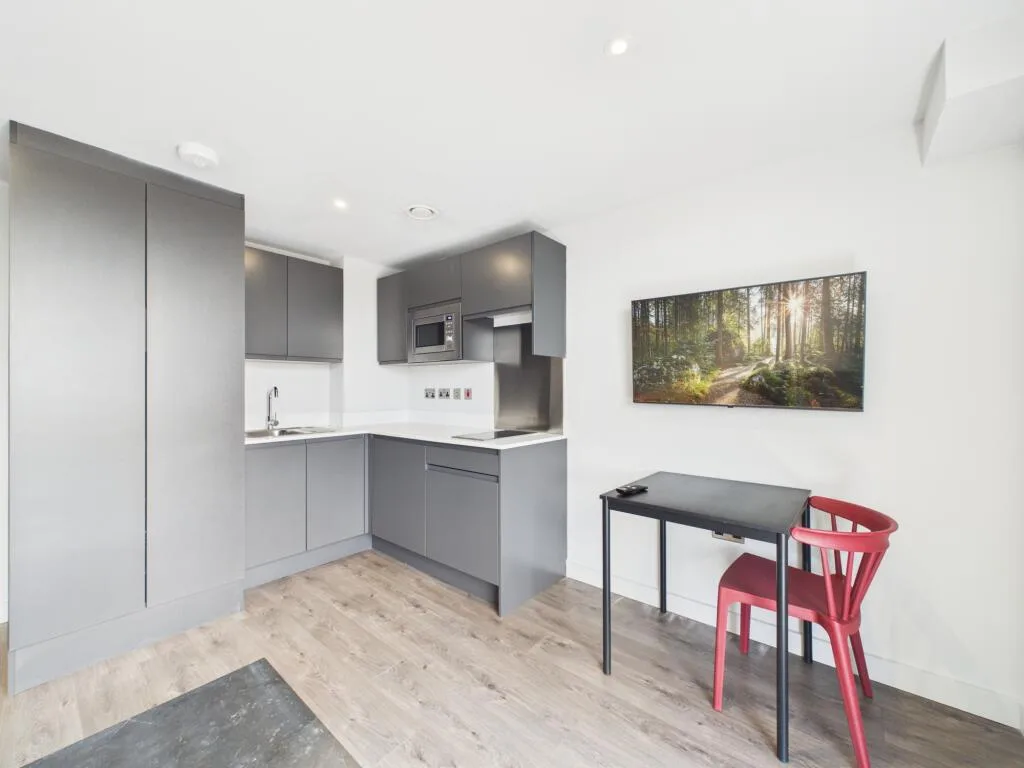 Studio flat for rent