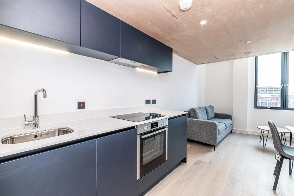 1 bedroom flat for rent