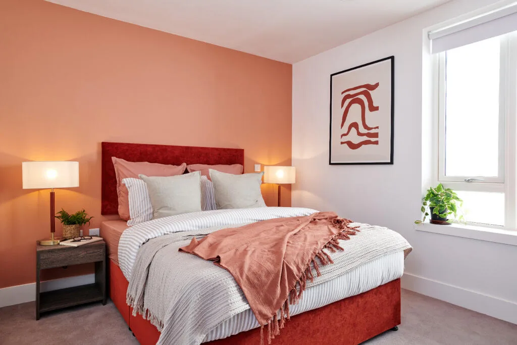 2 bedroom apartment for rent