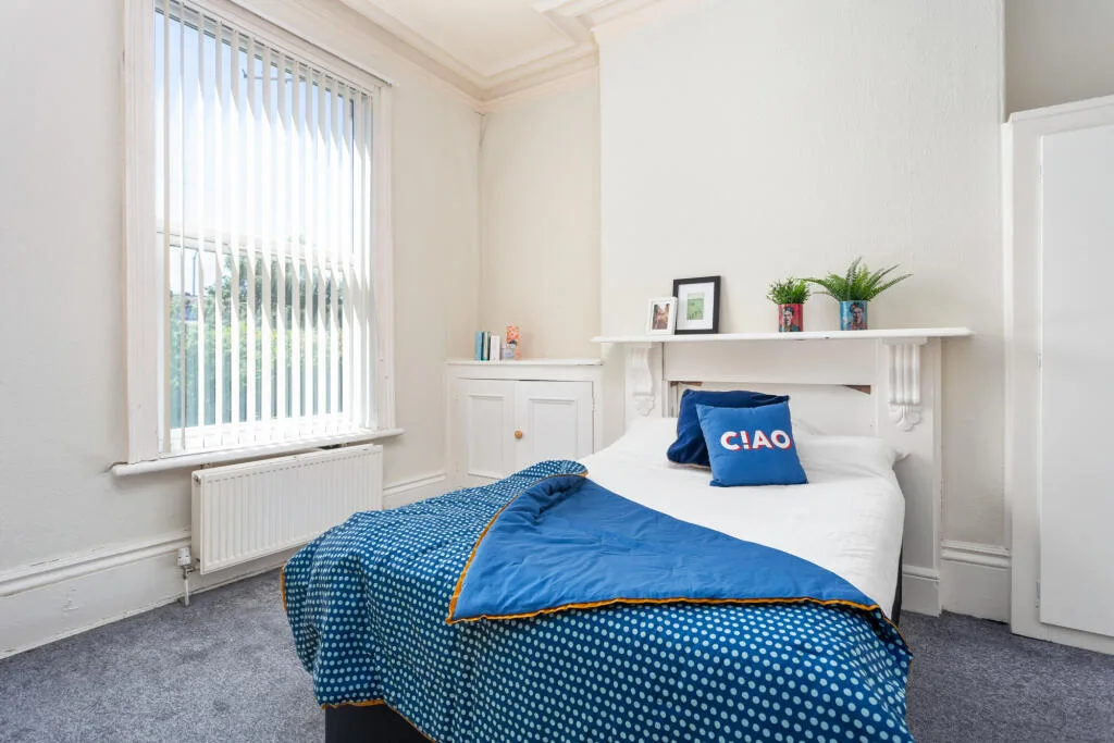 3 bedroom apartment for rent