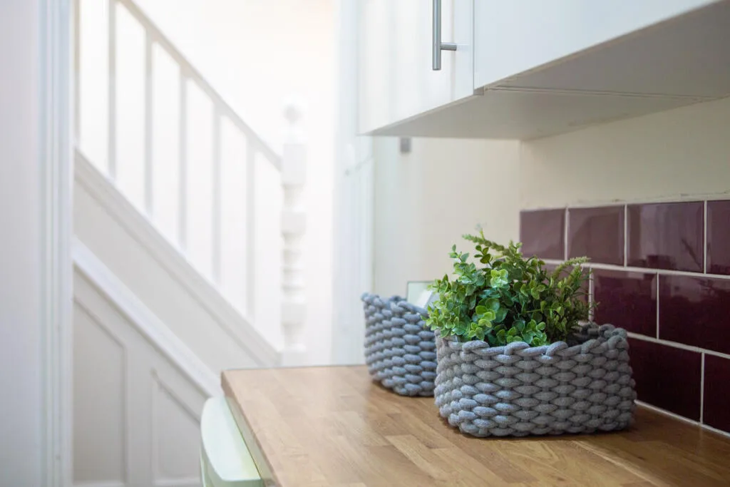 4 bedroom apartment for rent