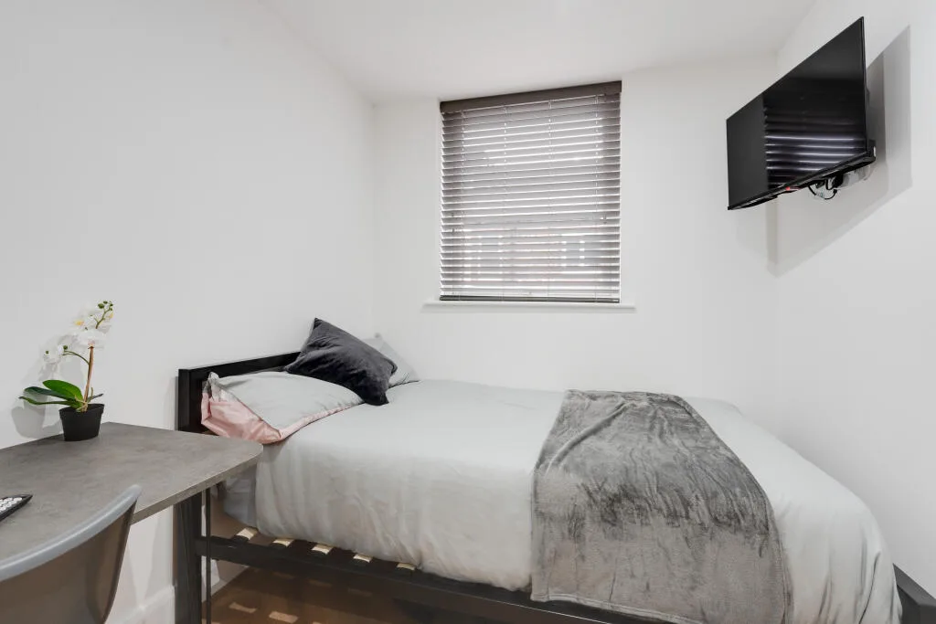 6 bedroom terraced house for rent