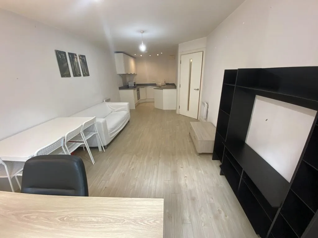 1 bedroom apartment for rent