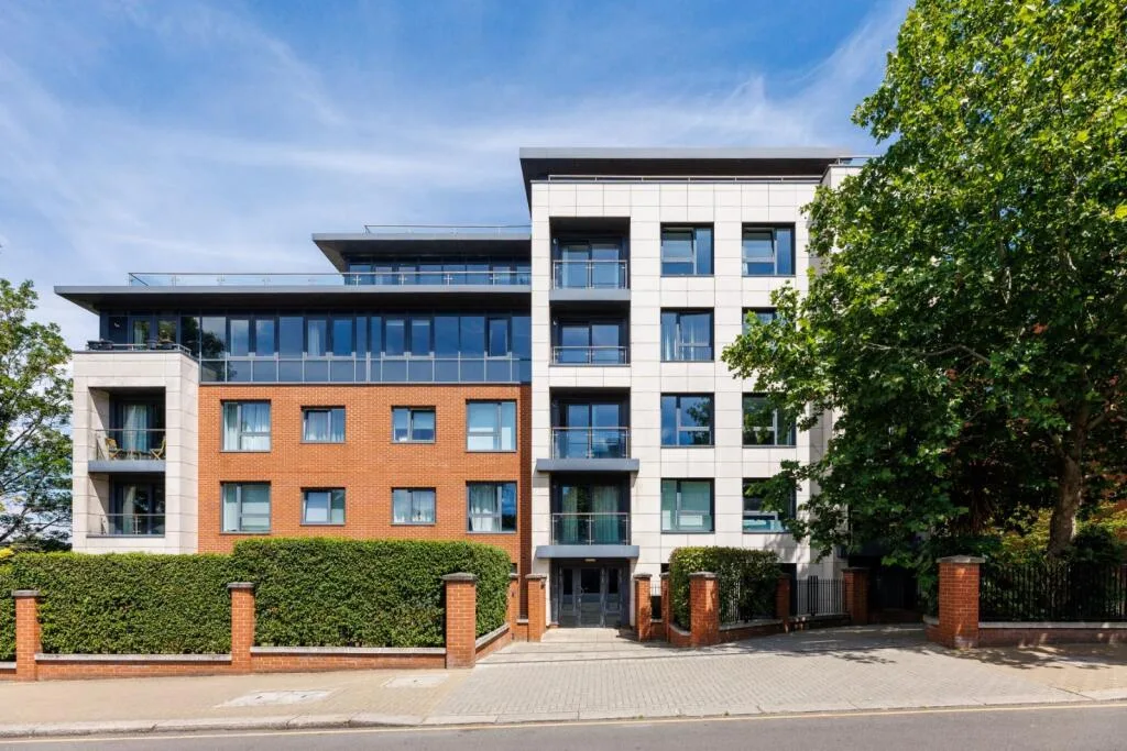 1 bedroom flat for rent