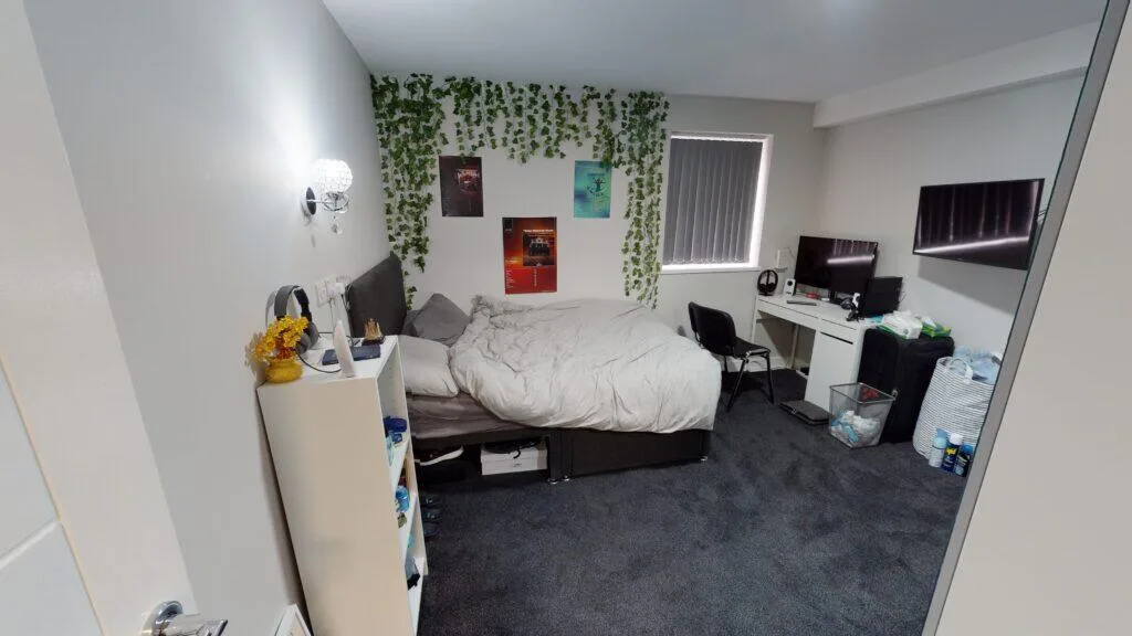 6 bedroom house for rent