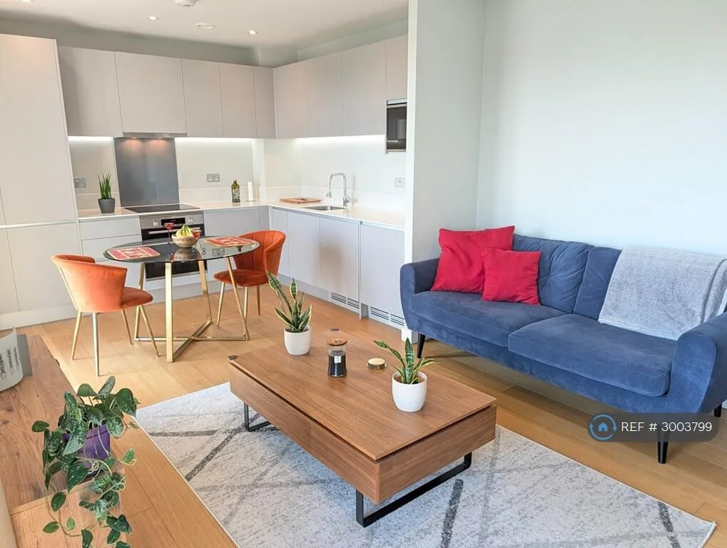 1 bedroom flat for rent