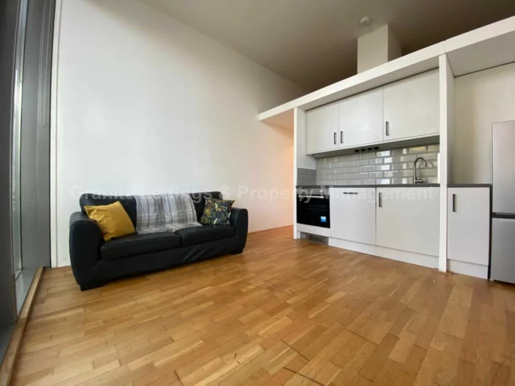 1 bedroom apartment for rent