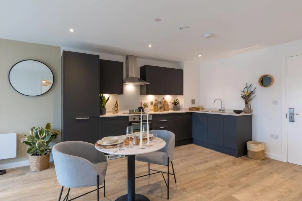 1 bedroom apartment for rent