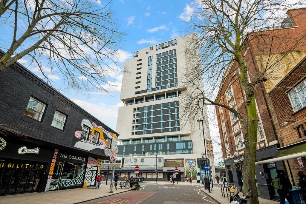 1 bedroom flat for rent