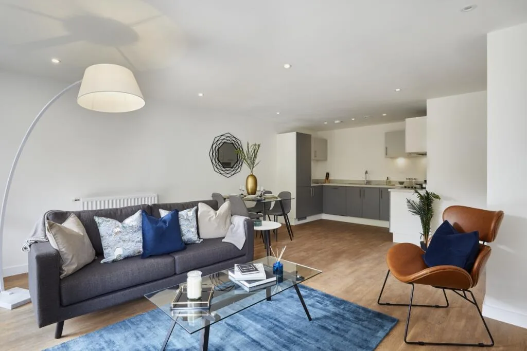 1 bedroom flat for rent