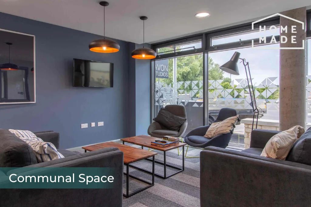 Studio flat for rent