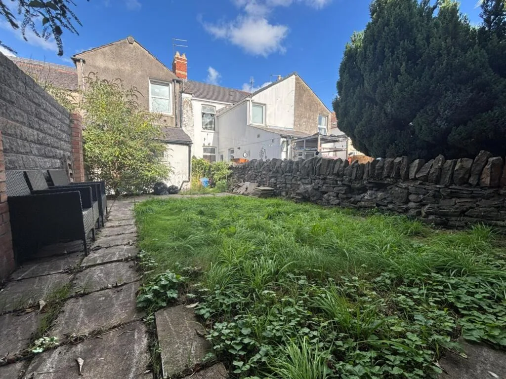 2 bedroom house for rent