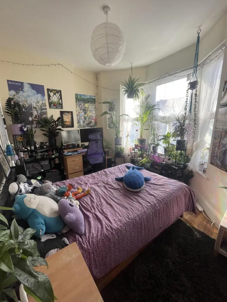 6 bedroom terraced house for rent