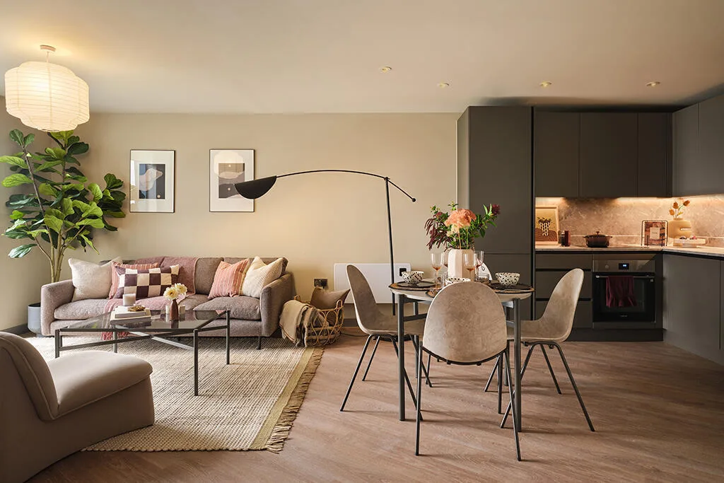1 bedroom apartment for rent