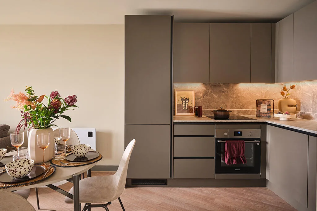 1 bedroom apartment for rent
