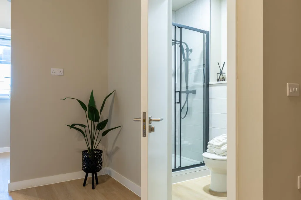 1 bedroom apartment for rent