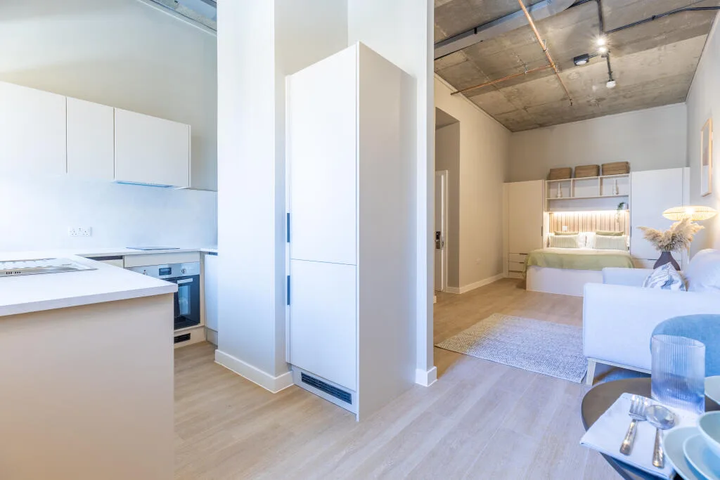 1 bedroom apartment for rent