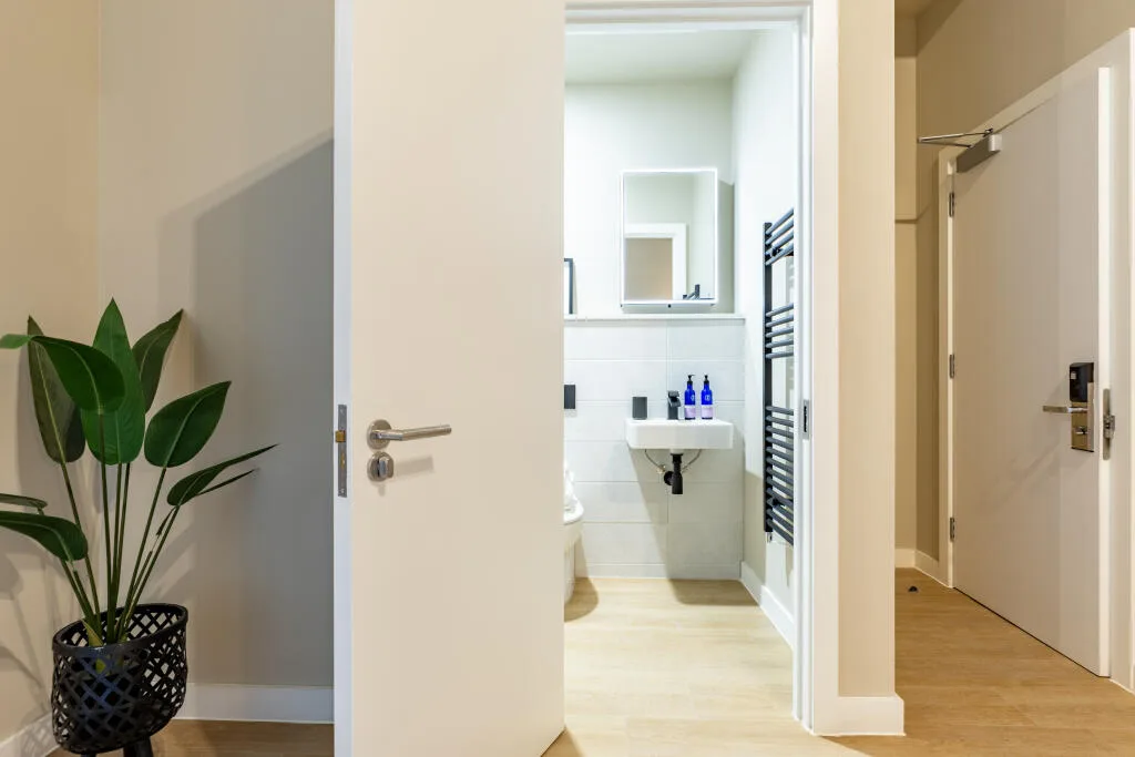 1 bedroom apartment for rent