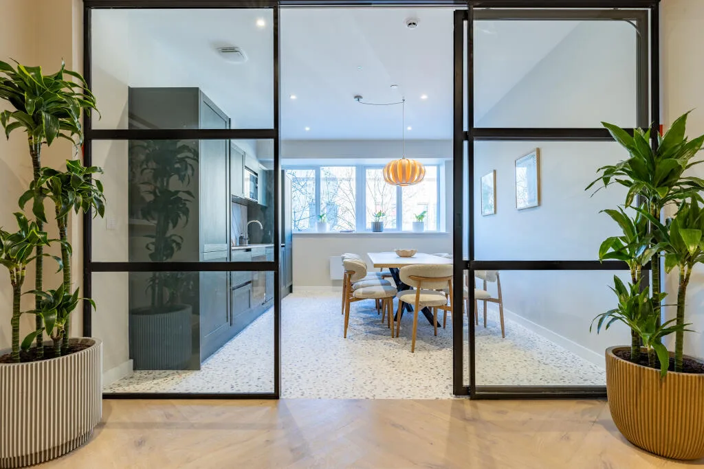 1 bedroom apartment for rent