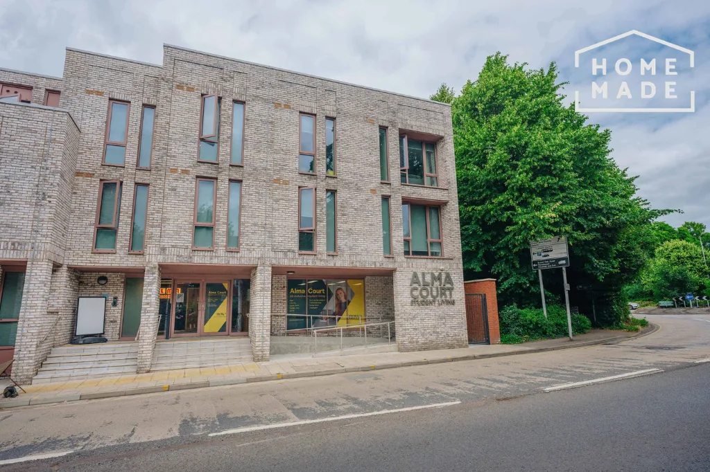 Studio flat for rent